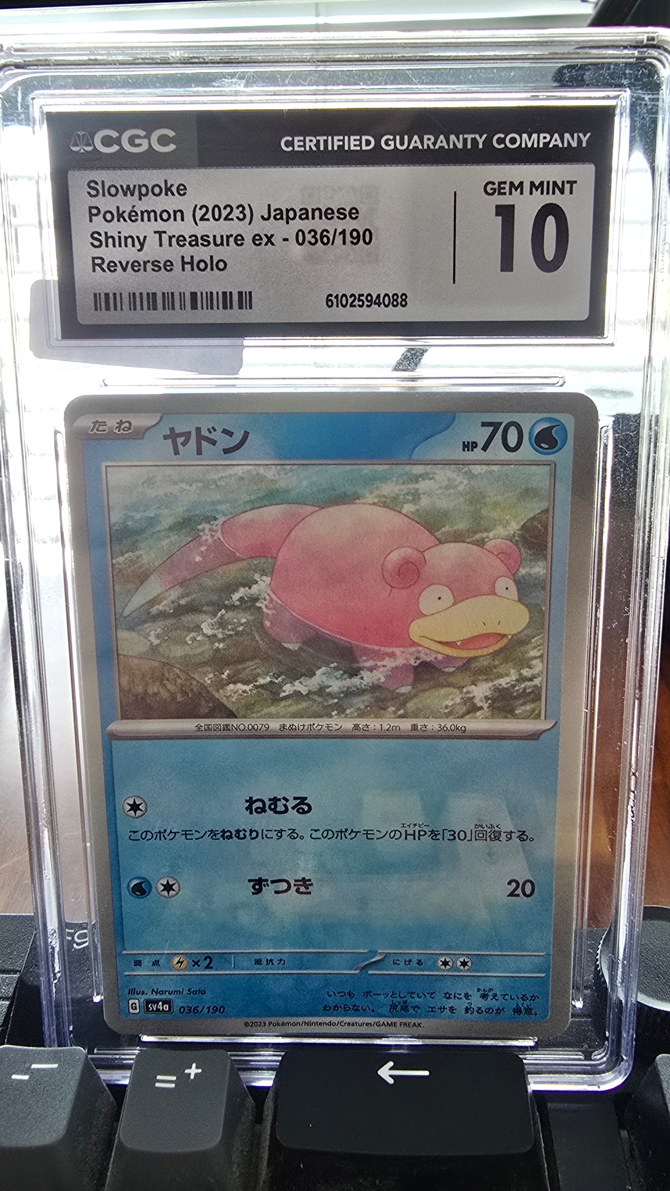 Slowpoke - 036/190 (Mirror Holofoil) - SV4a: Shiny Treasure ex (SV4a)